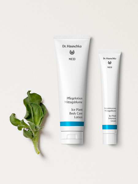 Dr.Hauschka Med Крем для интенсивного ухода за сухой кожей лица и тела «Хрустальная трава» (Intensiv Creme Mittagsblume) 50 мл